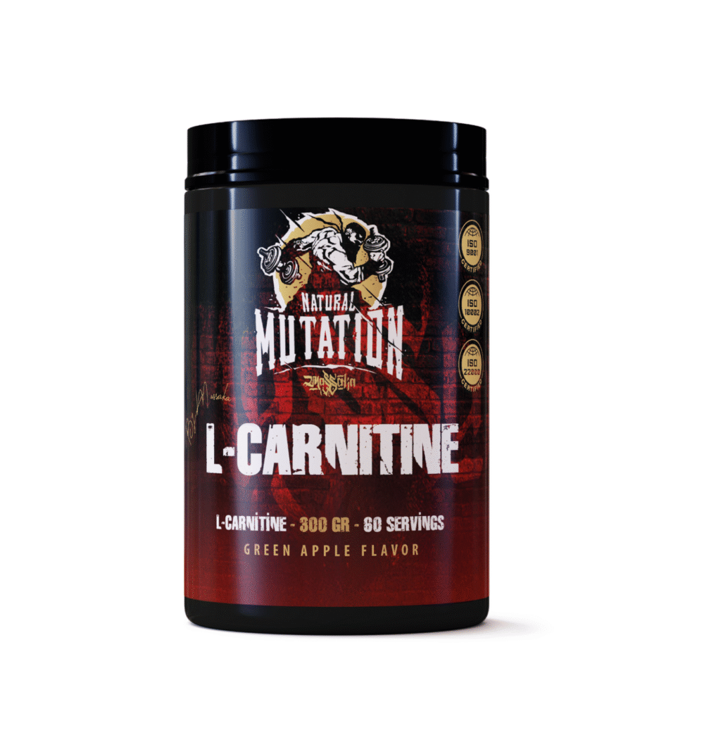 L-carnitine mockup.pdf