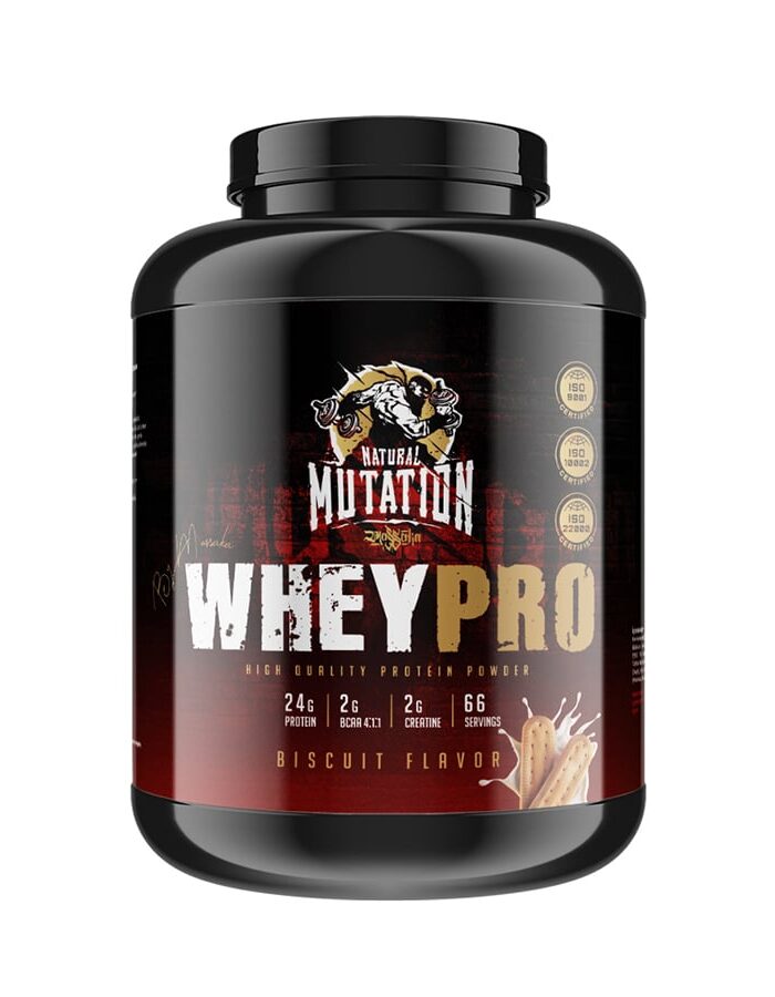 whey protein bisküvi aromalı