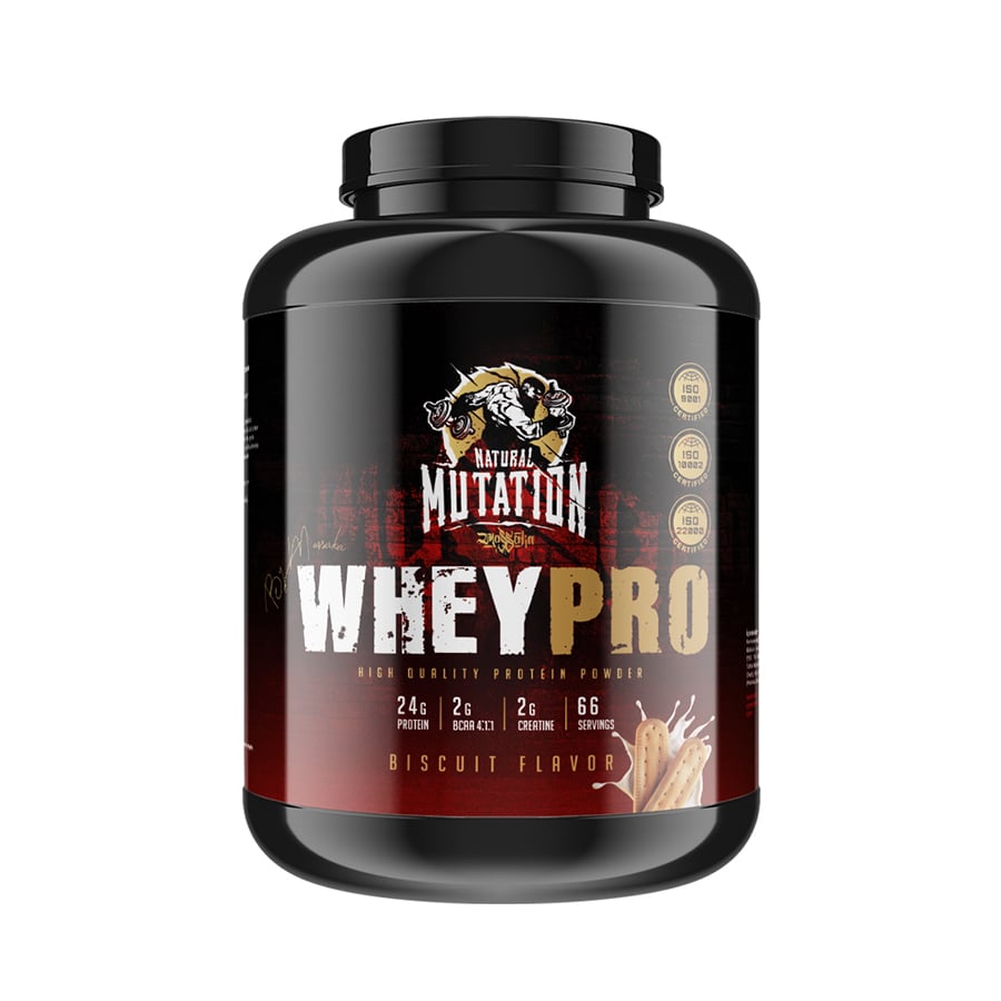 whey protein bisküvi aromalı